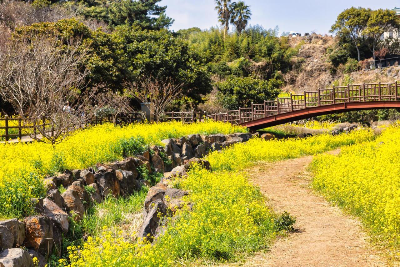 Kensington Jeju Jungmun 4* Seogwipo